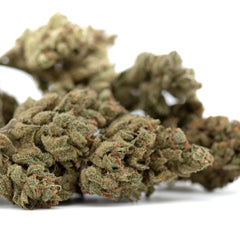 TriCross THCa Flower Full-Term