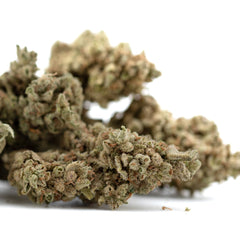 TriCross THCa Flower Full-Term