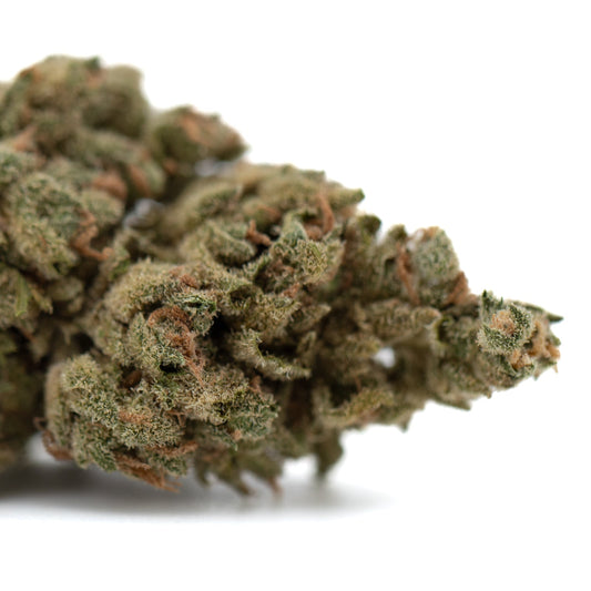 TriCross THCa Flower Full-Term