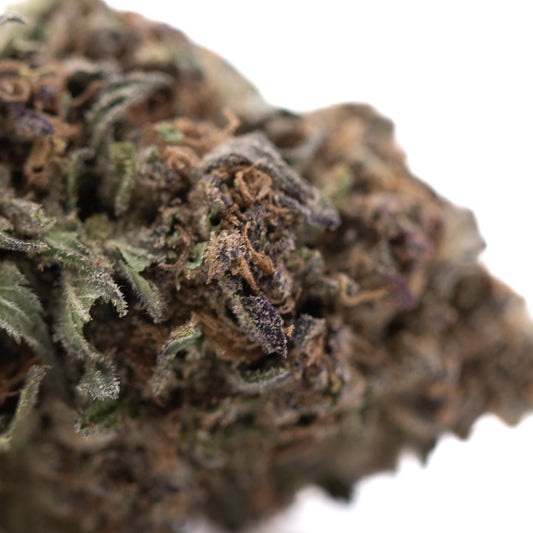 Tropical Punch THCa Hemp Flower Greenhouse