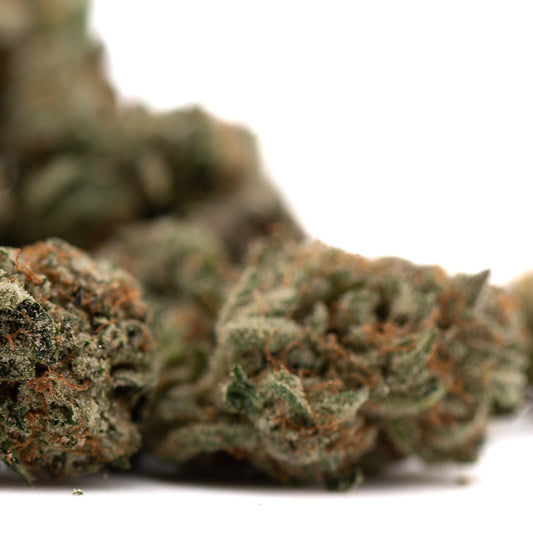 Tropical Punch Indoor THCa Flower Smalls - Plants