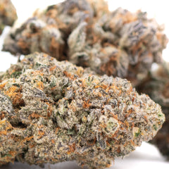 Tropical Punch Indoor THCa Flower Wholesale