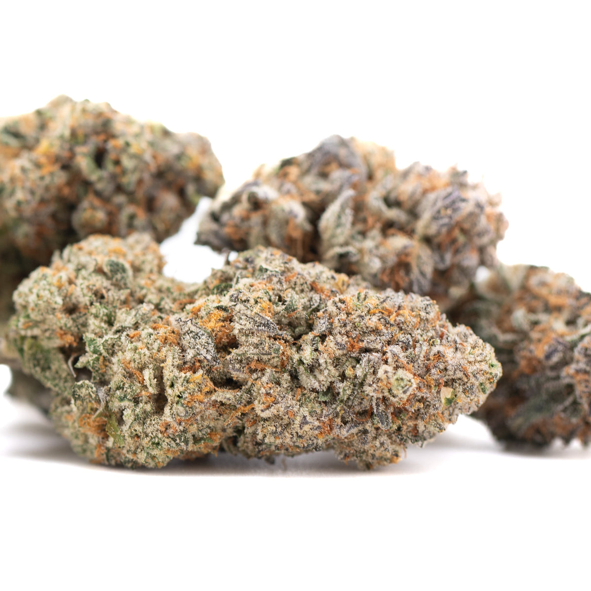Tropical Punch Indoor THCa Flower Wholesale