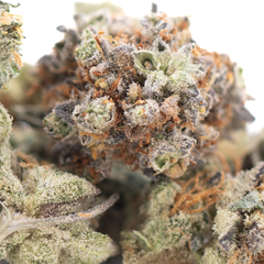 Truffle Dawg Indoor THCa Flower