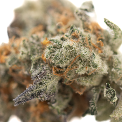 Truffle Dawg Indoor THCa Flower