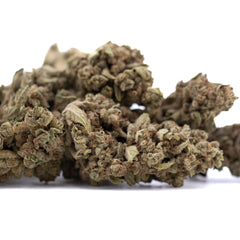 Turtle Taffy THCa Flower Full-Term Smalls