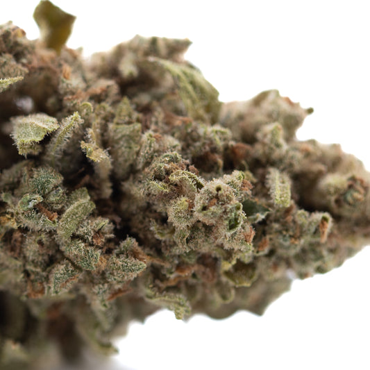 Turtle Taffy THCa Flower Full-Term Smalls