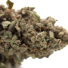 Turtle Taffy THCa Flower Full-Term Smalls