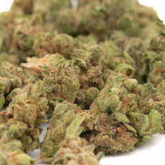Vanilla Frosting THCa Hemp Flower Wholesale Smalls - Plants