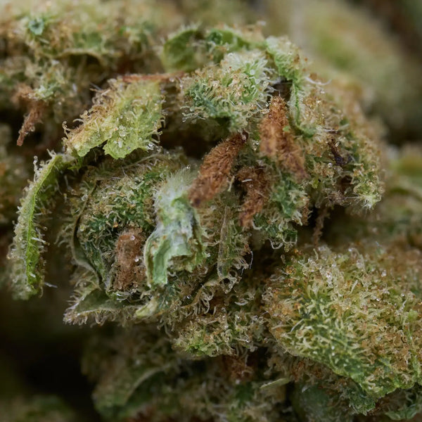 THCA Biosynthesis