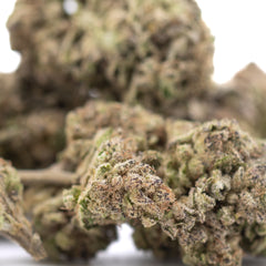 Zkittlez Cross THCa Hemp Flower Greenhouse Wholesale