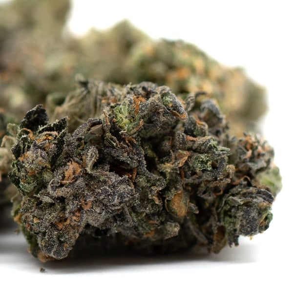 Zkittlez Indoor THCa vs Jessica Rabbit