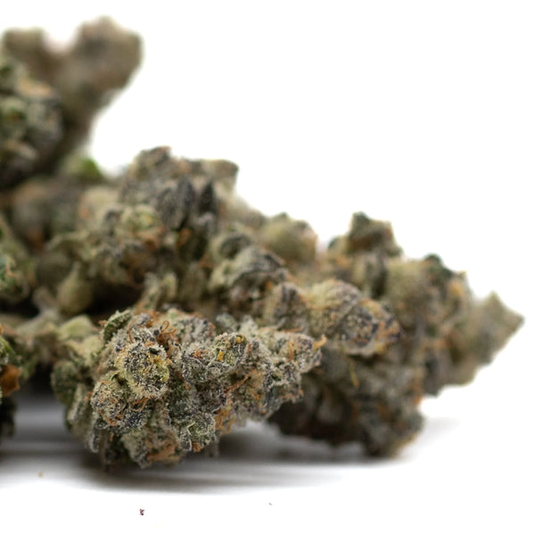 Zkittlez Indoor THCa vs Jessica Rabbit