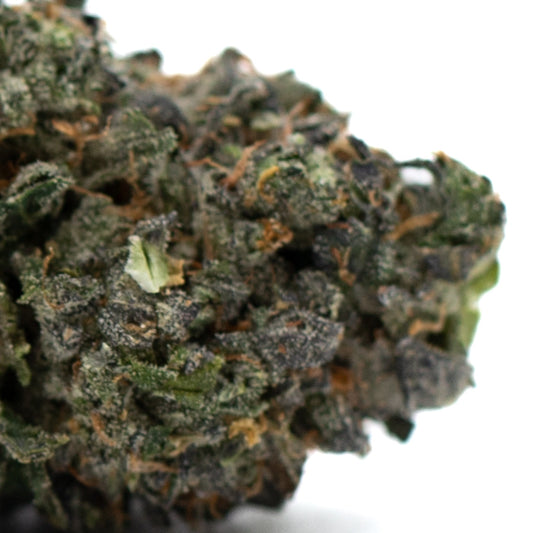 Zkittlez Indoor THCa Flower - Plants