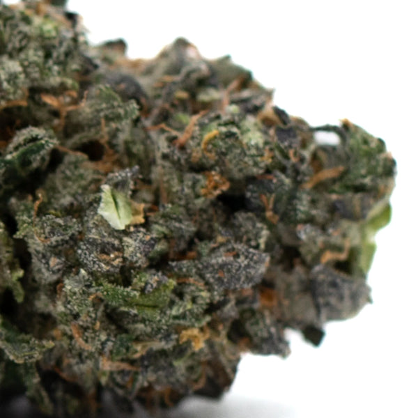 Zkittlez Indoor THCa vs Jessica Rabbit