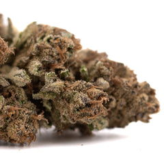 Zonkers THCa Hemp Flower Greenhouse Wholesale