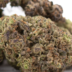 Zushi THCa Hemp Flower Greenhouse Wholesale