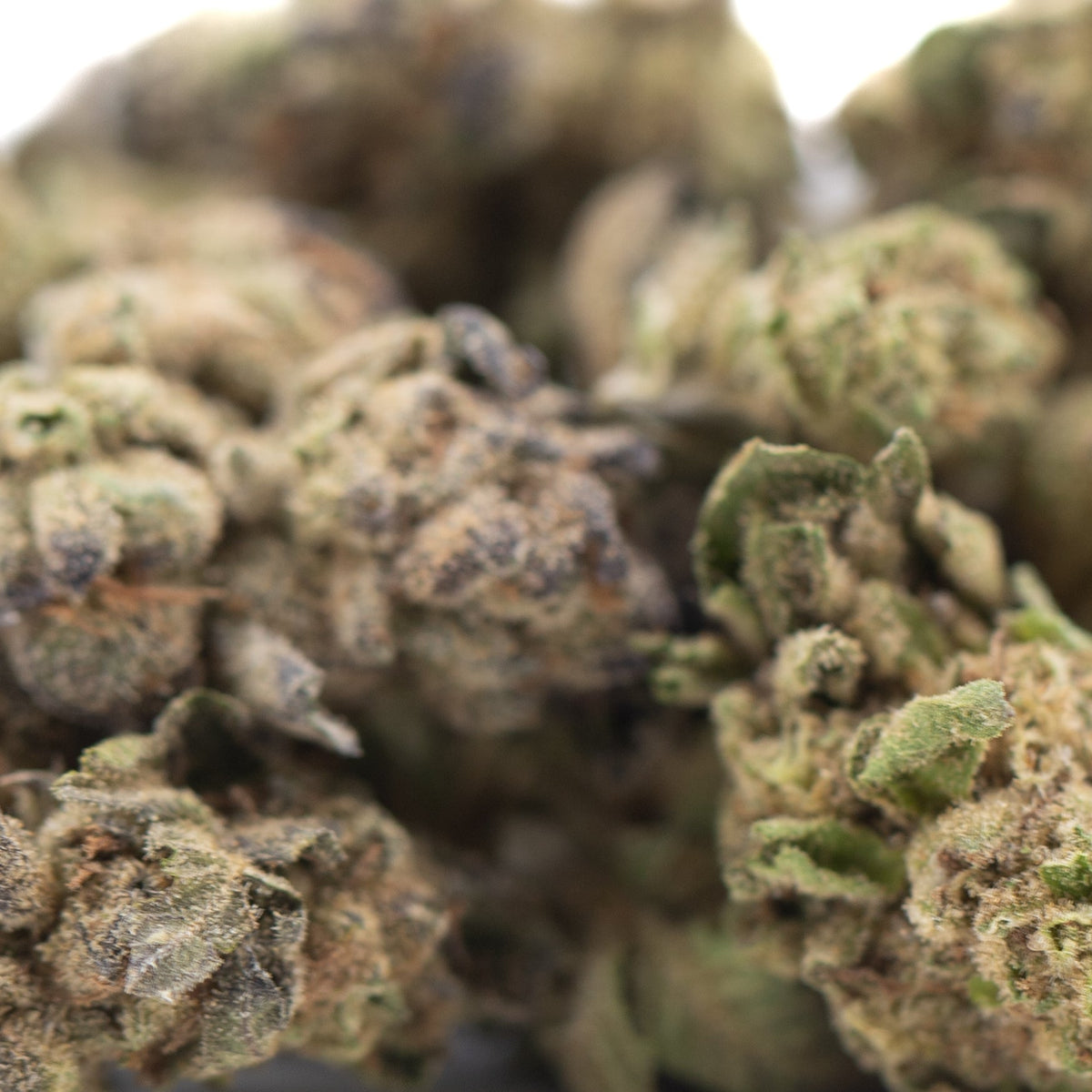 Zushi THCa Hemp Flower Greenhouse Smalls