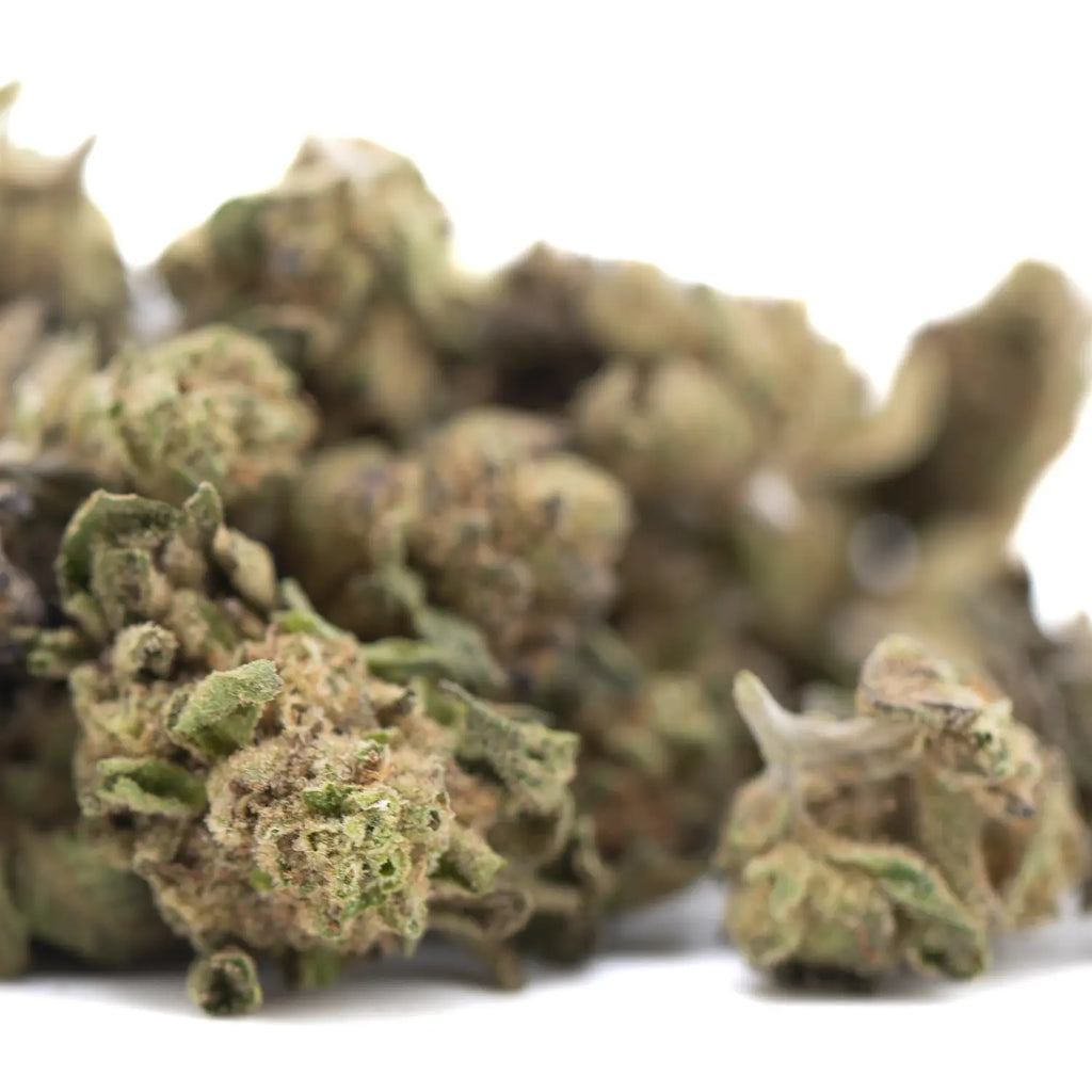 Shipping, Packaging & Storing Bulk THCA Flower