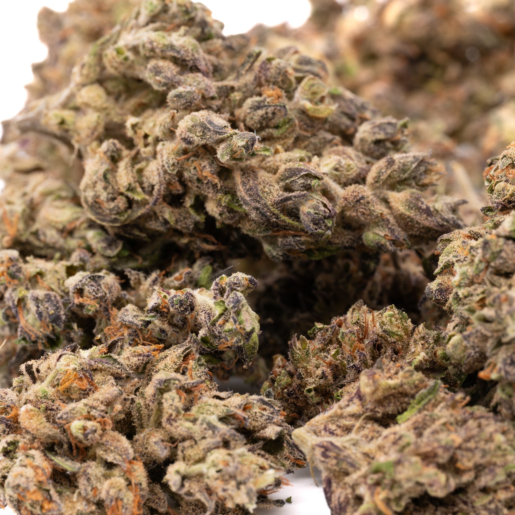 Blues CBD Hemp Flower - Plants