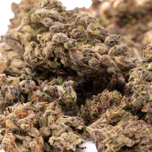 Blues CBD Hemp Flower - Plants
