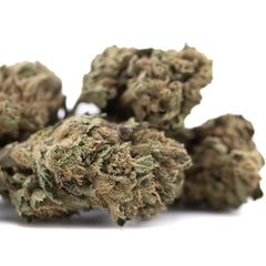 Cola THCa Flower Full-Term