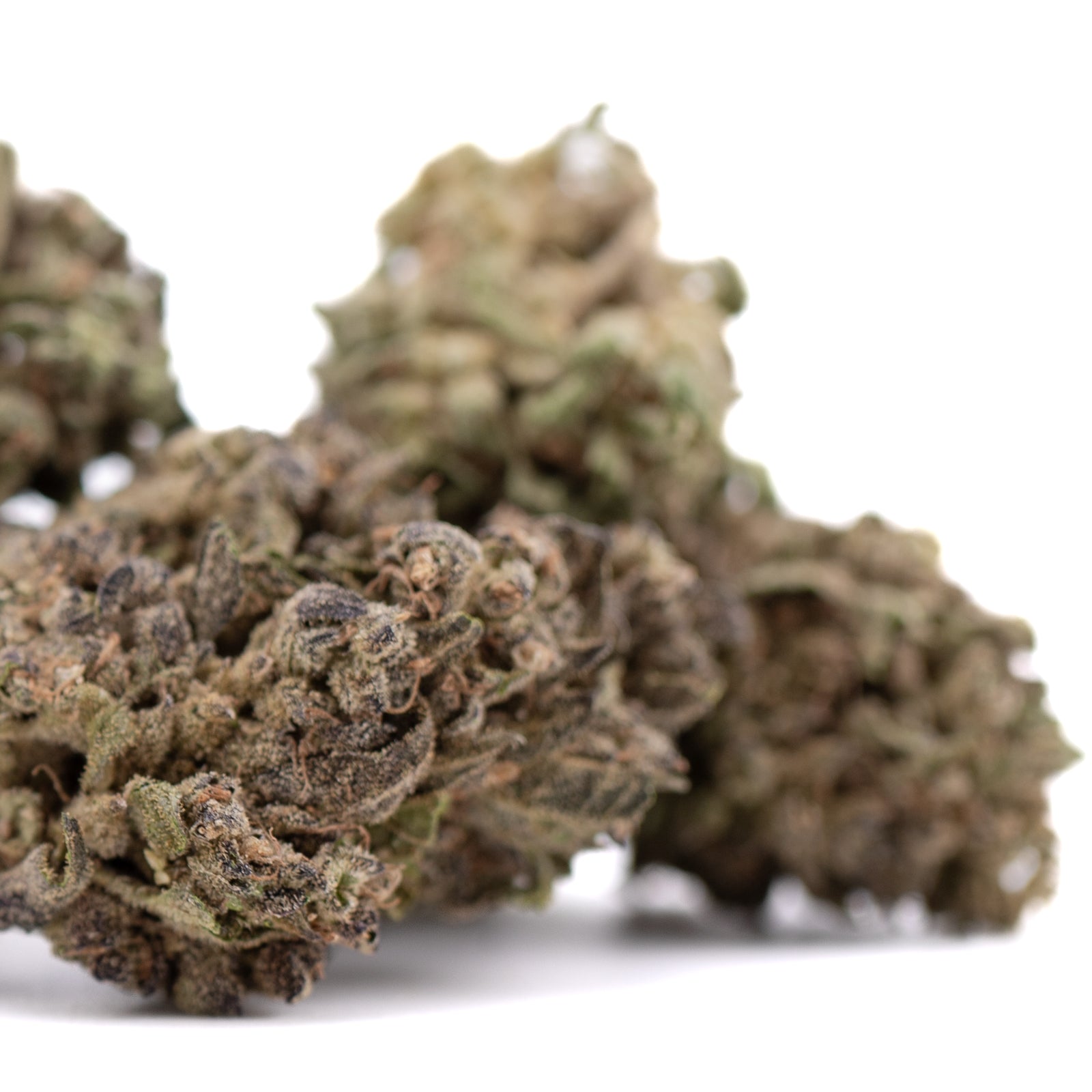 Premium Cream Caramel THCa hemp flower bud with dense trichomes