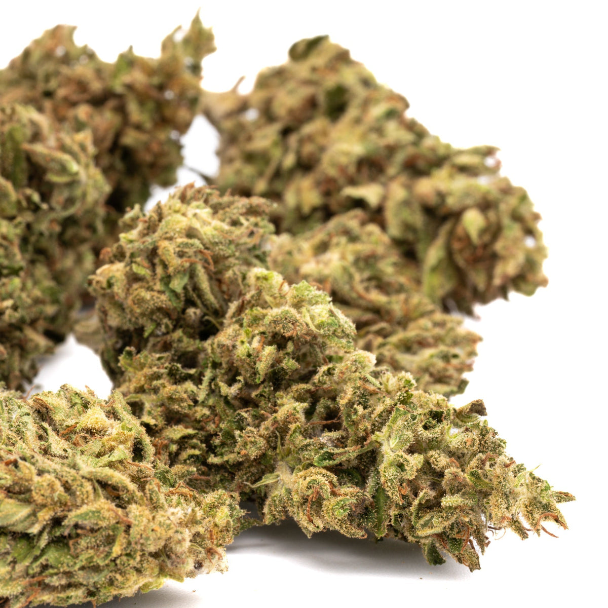 Dried CBD hemp flower with light green and orange hues, covered in trichomes, from Early Nueve’s Cheesy Kush