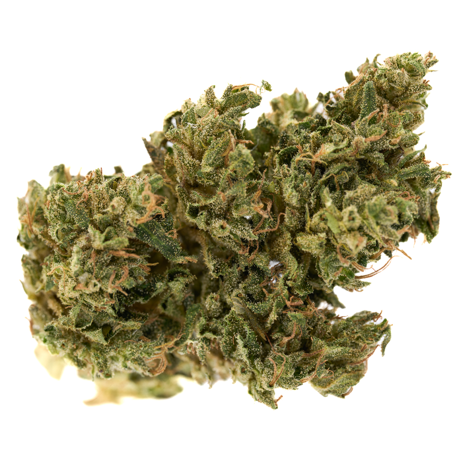 Dense green CBD Hemp Flower Full-Term with trichomes and orange pistils for Trump CBD Hemp