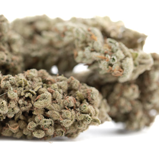 Premium Face Fat THCa hemp flower bud with dense trichomes