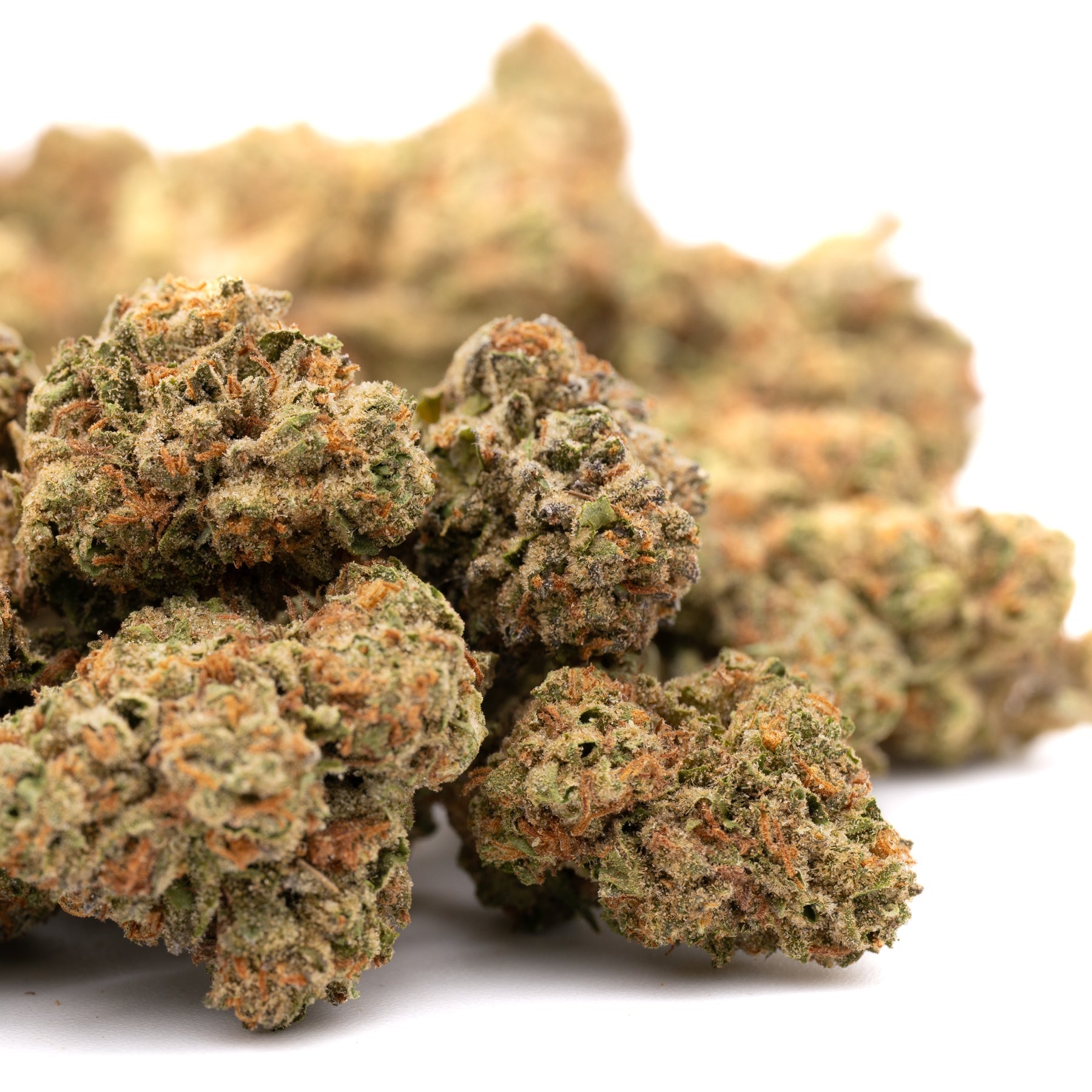 Garlic Cookies THCa Hemp Flower Greenhouse - Plants