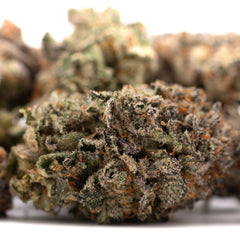 GAS Indoor THCa Flower - Plants