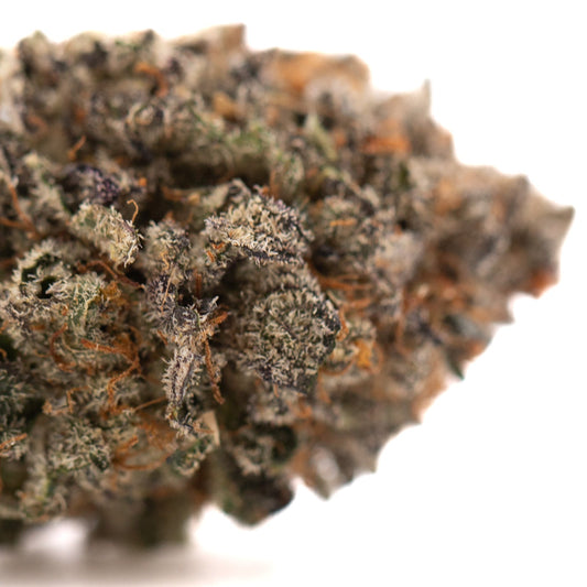 GAS Indoor THCa Flower - Plants