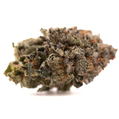 GAS Indoor THCa Flower - Plants