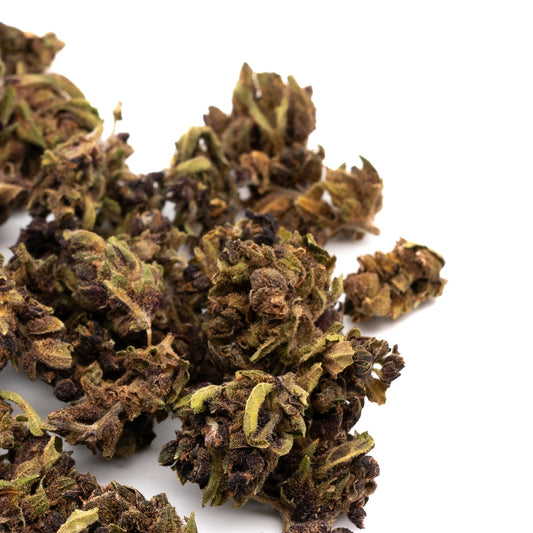 Gorilla Glue Hemp Flower Smalls - Plants