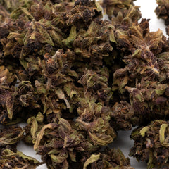 Gorilla Glue Hemp Flower Smalls - Plants