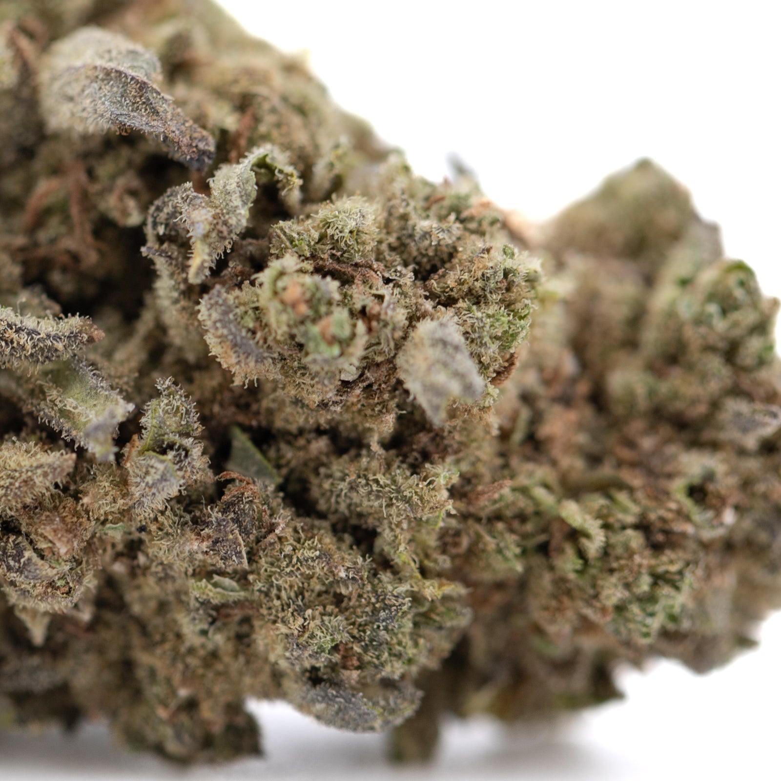 Premium Jelly Donut THCa hemp flower bud with frosty trichomes