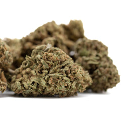 Jelly Mints THCa Flower: Premium Hemp Bud for Wholesale