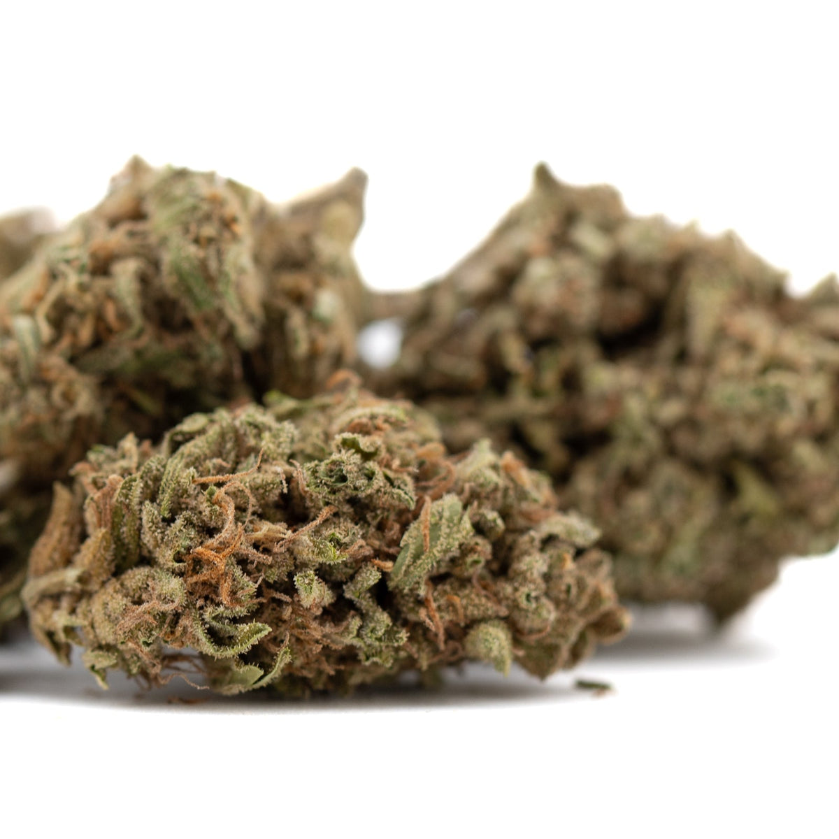 Jelly Mints THCa hemp flower bud with green hues and trichomes