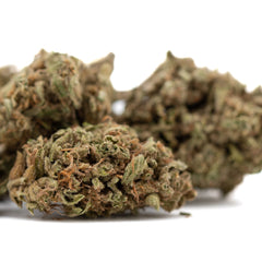 Jelly Mints THCa hemp flower bud with green hues and trichomes