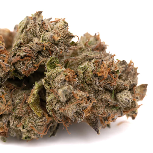 Lemon Cherry Gelato Indoor THCa Flower Wholesale - Plants