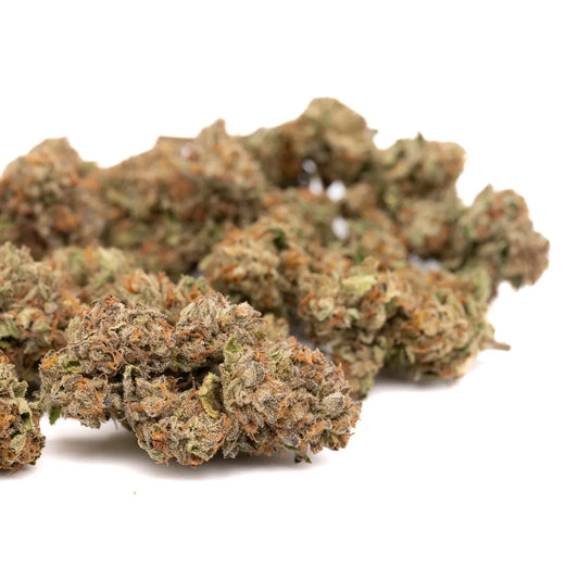 Lemon Cherry Gelato Indoor THCa Flower Wholesale - Plants