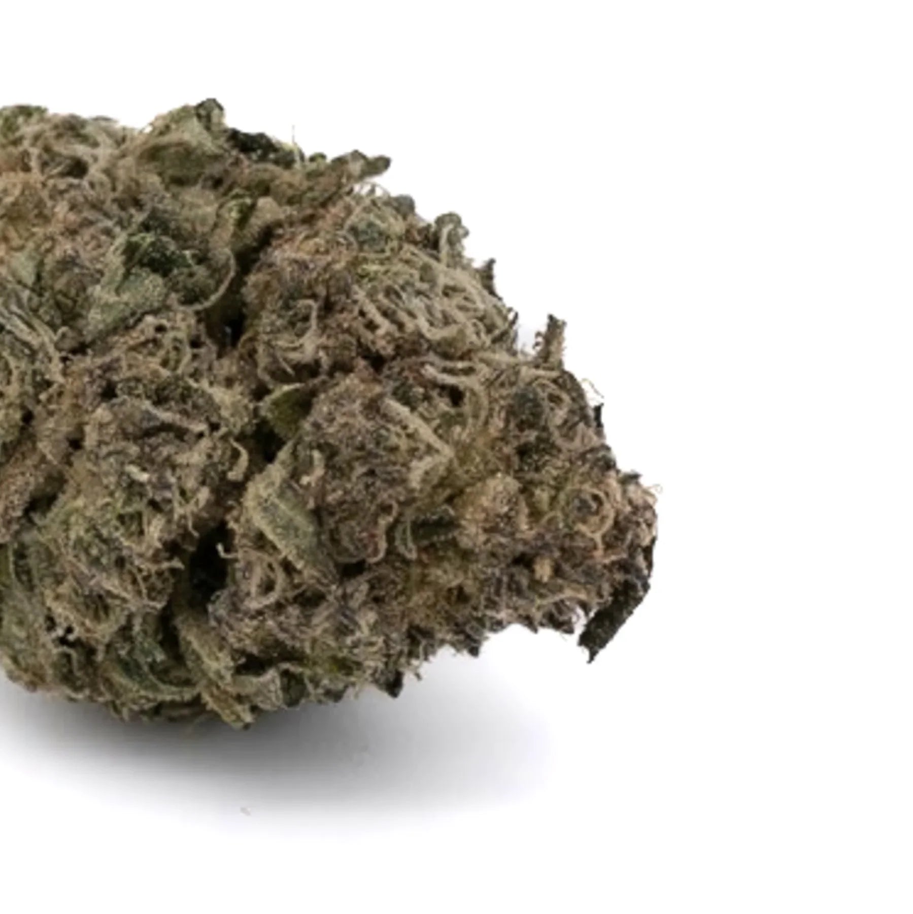 Lemon Cherry Gelato THCa Flower Greenhouse Wholesale - Plants