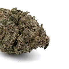 Lemon Cherry Gelato THCa Flower Greenhouse Wholesale - Plants