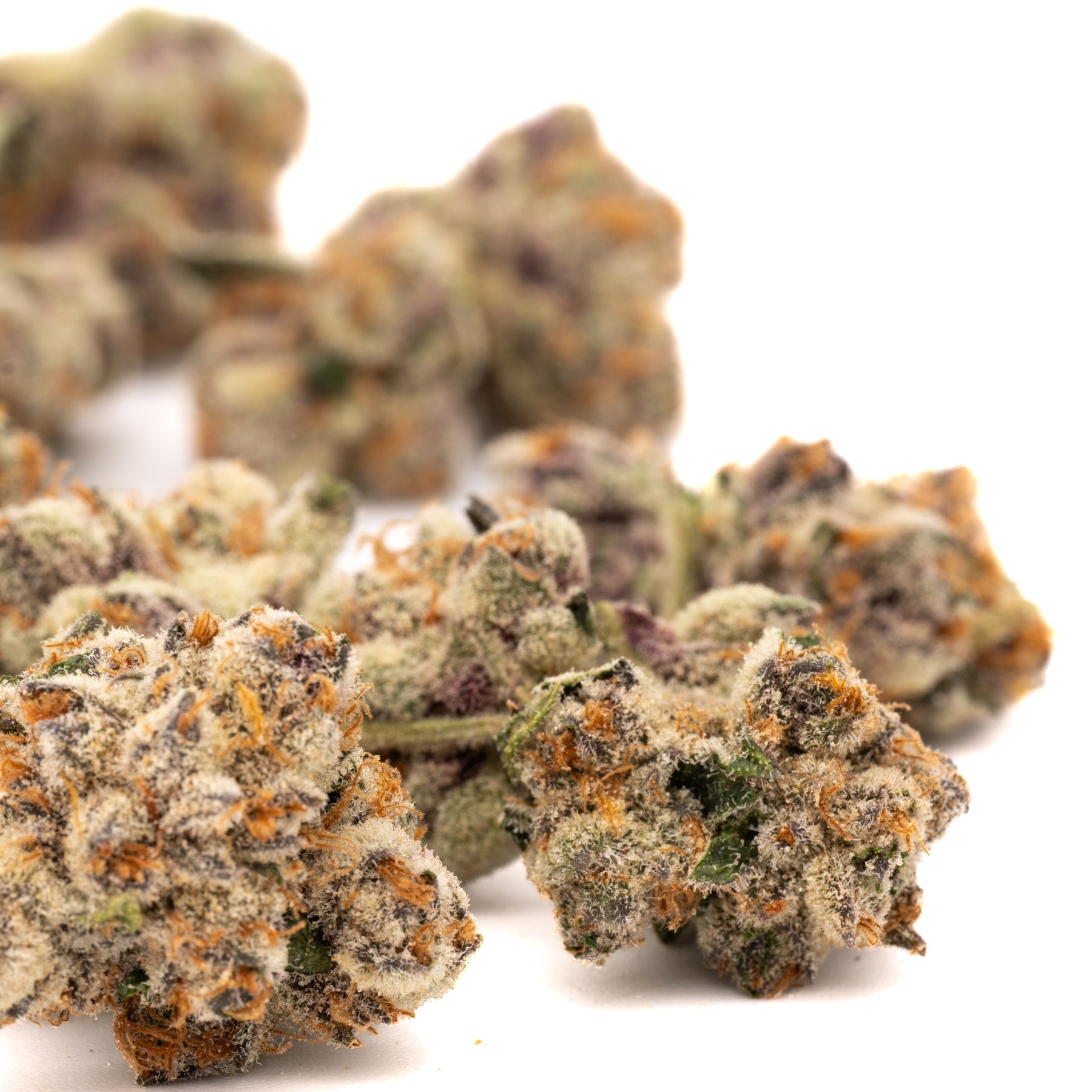 MAC And Gary THCa Flower Wholesale - Plants