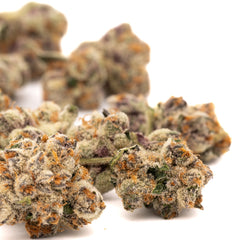 MAC And Gary THCa Flower Wholesale - Plants