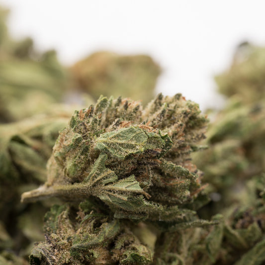 Close-up of Maverick CBD Hemp Flower Smalls with rich trichomes and pistils