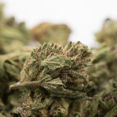 Close-up of Maverick CBD Hemp Flower Smalls with rich trichomes and pistils