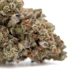 Premium Mega Gummie Bearz THCa flower bud with green orange hues and trichomes