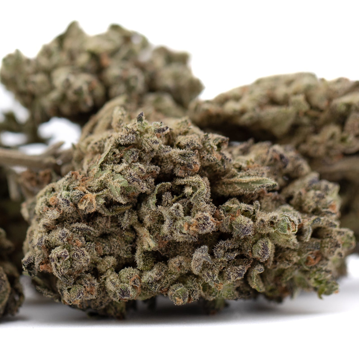 Premium Mendo Breath THCa hemp flower bud with dense trichomes